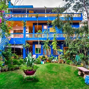 https://the-coral-tree-homestay.agrahotelsindia.net